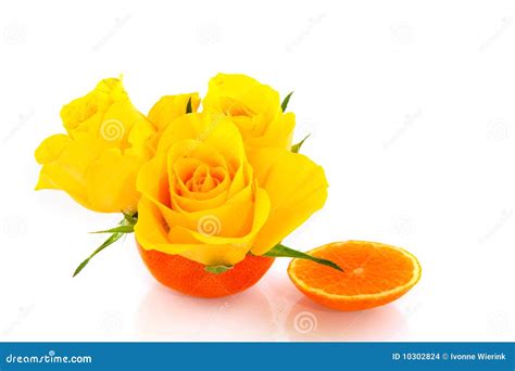 Tangerine with flowers stock photo. Image of funny, flowers - 10302824