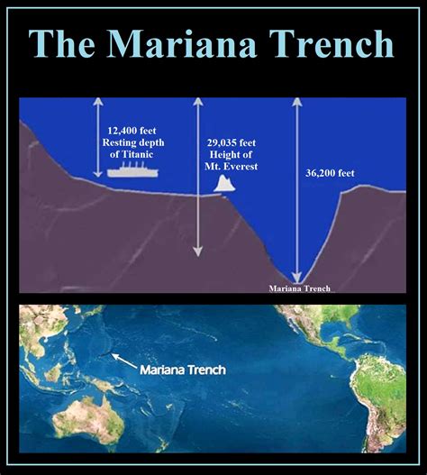 mariana trench depth, Trench - Wikipedia - agriturismofurfullanu.net