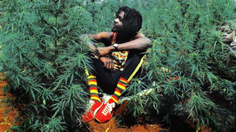 Legalize It: Reggae Warriors to celebrate Peter Tosh | HipHopCanada