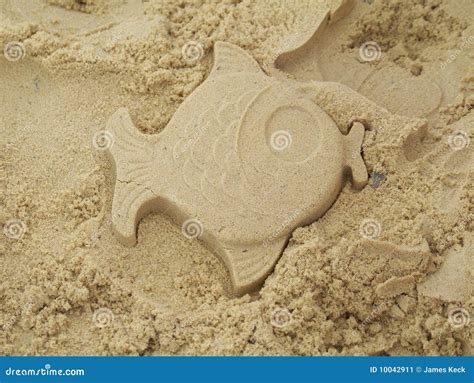 Sand Fish stock image. Image of sand, funny, strange - 10042911