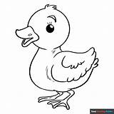 Baby Duck Coloring Page  Easy Drawing Guides sketch template