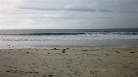 Torrance Beach in Torrance, CA - California Beaches