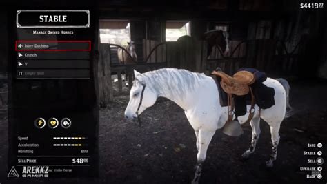 Red Dead Redemption 2: how to get the best wild horse | VG247