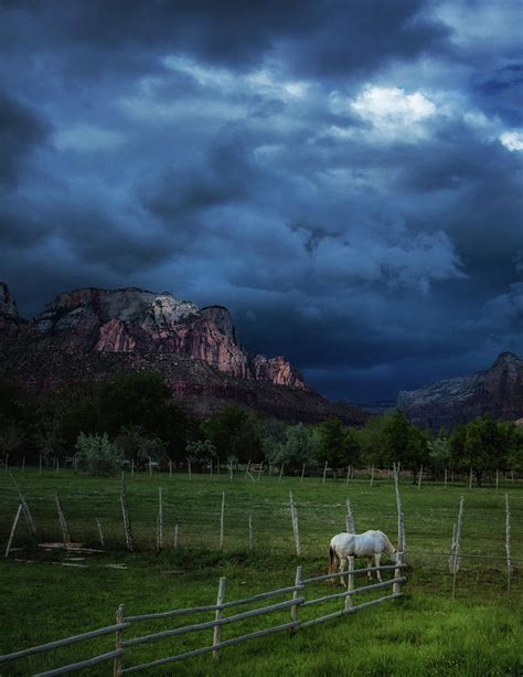 Zion National Park weather Photograph by Dennis Herzog