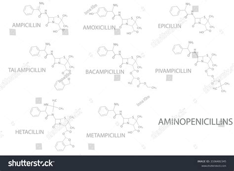 Aminopenicillins Molecular Skeletal Chemical Formula Stock Vector (Royalty Free) 2106482345 ...