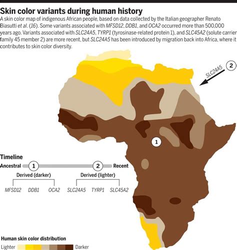 Human skin color distribution - Vivid Maps