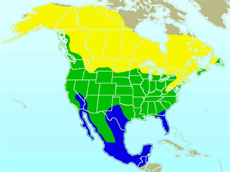 American Robin Migration Map