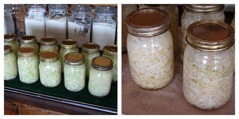 The Country Farm Home: Easy Sauerkraut In A Jar | Sauerkraut, Canned food storage, Canning recipes