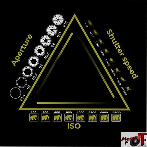 UNDERSTANDING APERTURE IN EXPOSURE TRIANGLE