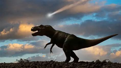 Why Did Dinosaurs Become Extinct? Explained | Times Now