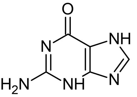 Guanine, Nucleobase (CAS 73-40-5) (ab146242) | Abcam