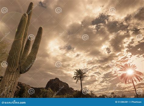 Desert Landscape Phoenix, Arizona,USA Stock Image - Image of landscape, southwest: 51286381