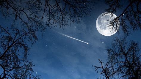 Download Nature Moon Art