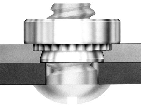 25 Pack Pem Self-Clinching Nuts Press-In Sheet Metal Fasteners SS-024- – usindustrialfasteners.com