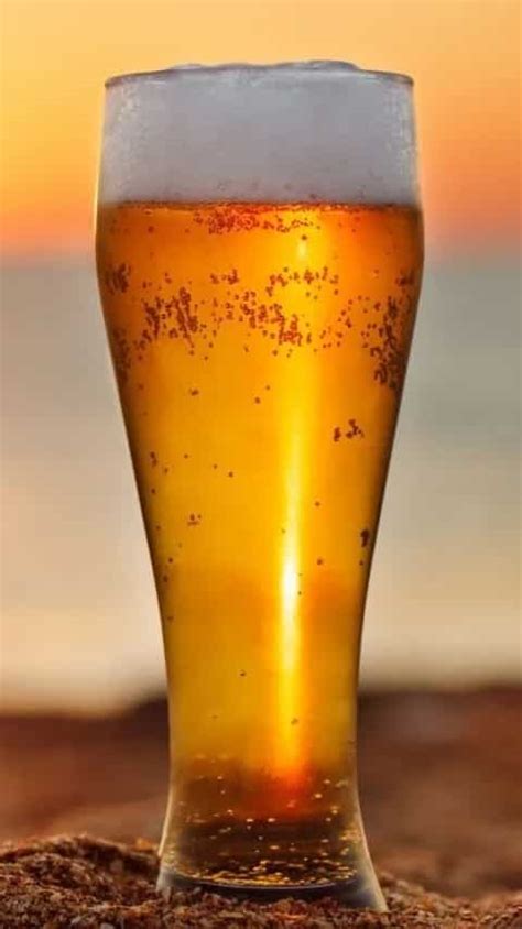 Finding low calorie beers for this summer? Here are the ones