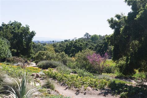 On the Grid : Santa Barbara Botanic Garden