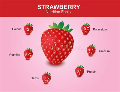 Strawberry Nutrition Facts, Strawberry Fruit with Information, Strawberry Vector Stock Vector ...