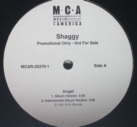 Shaggy - Angel [Vinyl] - Amazon.com Music