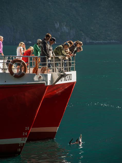 Southern Discoveries - Milford Sound Nature Cruise » VisitorPoint