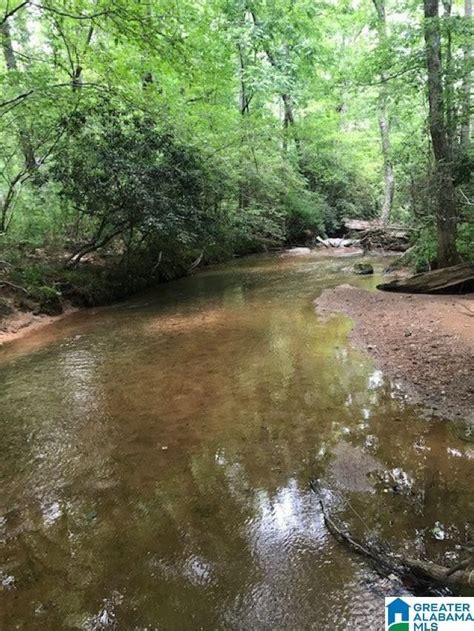 Wedowee, Randolph County, AL Undeveloped Land, Lakefront Property, Waterfront Property ...