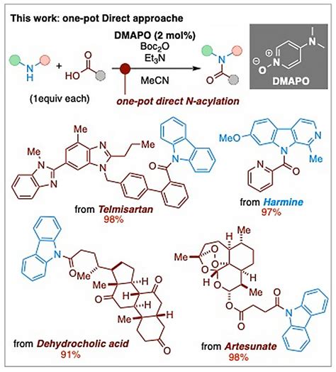 Optimized amide bond reaction using heterocyclic compounds and carboxylic acid