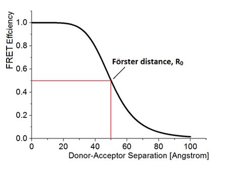 10: FRET efficiency plotted as a function of donor/acceptor separation ...