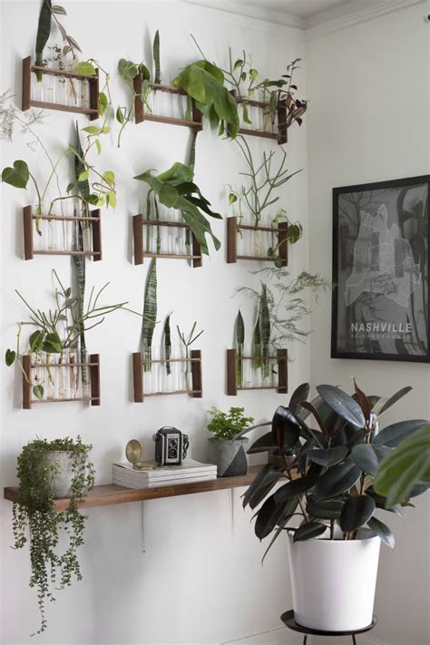 How to Display Houseplants: 100 of Our Favorite Plant-Display Ideas | Apartment Therapy