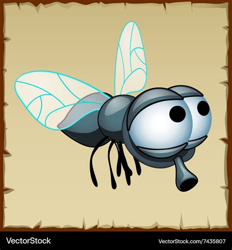 Gray fly with huge eyes funny insect Royalty Free Vector