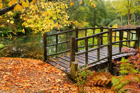 Exbury Gardens - Autumn | Flickr