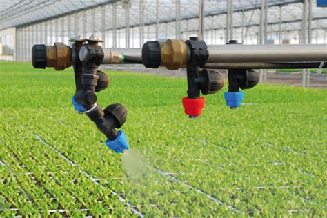 Fertigation Uniformity under Sprinkler Irrigation: Evaluation and Analysis | Sprinkler ...