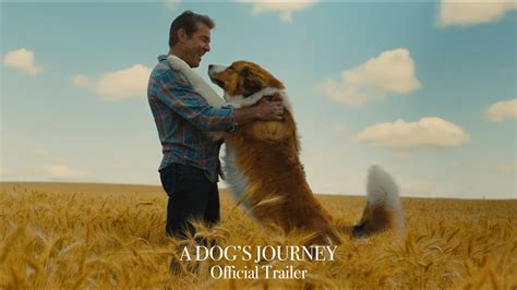 A Dog's Journey | Universal Pictures