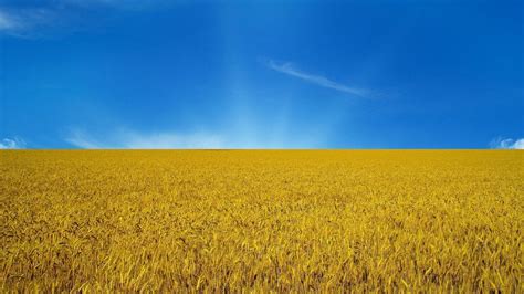 Wheat Field Wallpapers - Wallpaper Cave