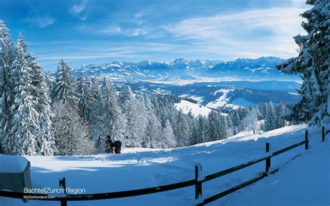 Download Forest Mountain Landscape Fence Switzerland Snow Earth Photography Winter Wallpaper