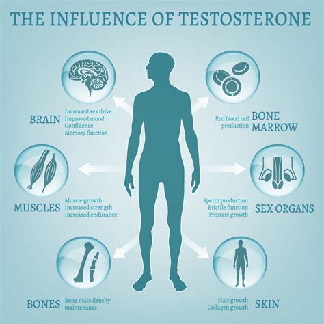 How Hormone Replacement Therapy Treats Male Hormonal Imbalances