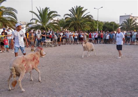 In pictures: Ram-fighting in Tunis suburbs continues despite calls for ...