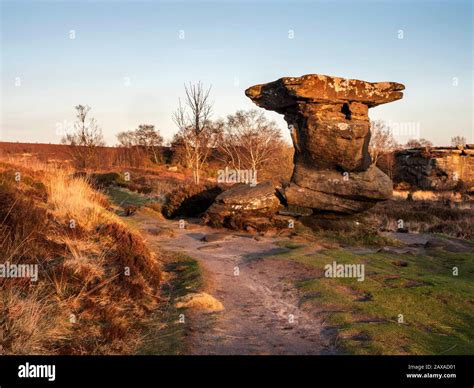 Flat topped gritstone rock formation at Brimham Rocks on Brimham Moor Nidderdale AONB North ...