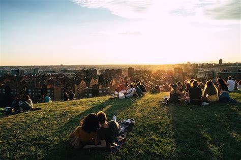 People Having Picnic on a Grass Field · Free Stock Photo