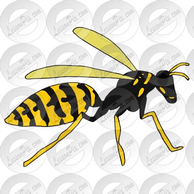 Wasp Picture for Classroom / Therapy Use - Great Wasp Clipart