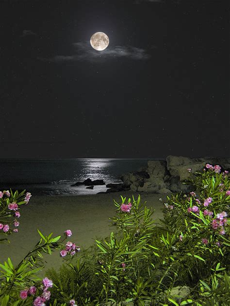 moonlight beach (1-033-img 0389-7s) | The beach at night in … | Flickr