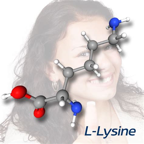 L-Lysine Health Benefits - Learn why L-lysine is essential for health