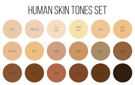 Skin Tone Palette Stock Illustrations – 1,197 Skin Tone Palette Stock Illustrations, Vectors ...