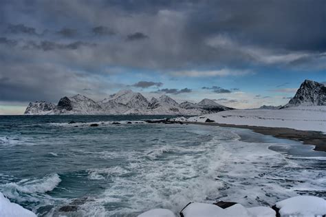 Winter beach · Free Stock Photo