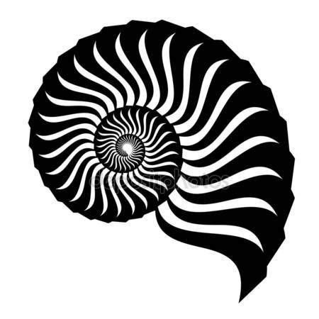 Silueta de Shell — Vector de stock Nautilus, Silhouette Clip Art, Silhouette Stencil, Beach ...