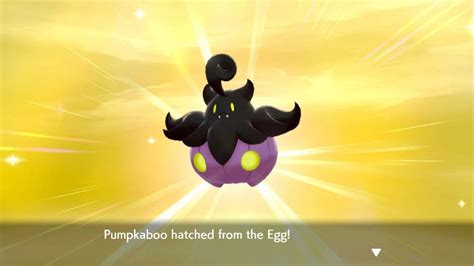 Can Pumpkaboo Be Shiny in Pokemon Go? Answered