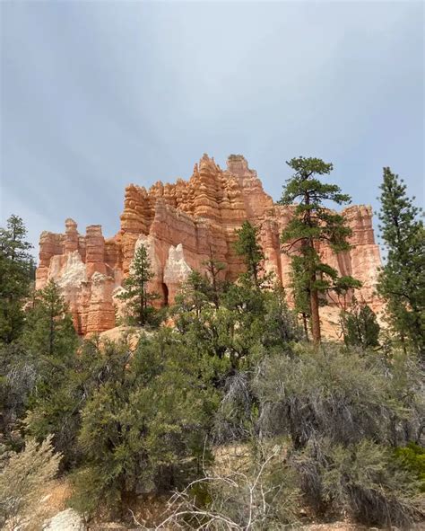 Fairyland Loop Trail (Bryce Canyon) - Best Hiking Guide