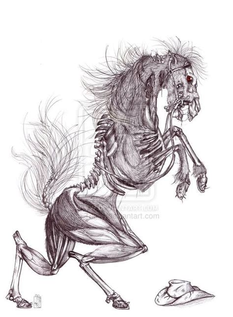 Skeleton horse | Dark fantasy art, Creepy drawings, Scary art