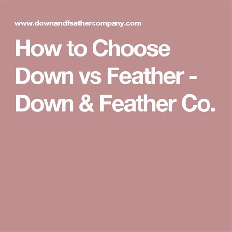 Down vs Feather: How to Choose | Feather, Down feather, Chosen