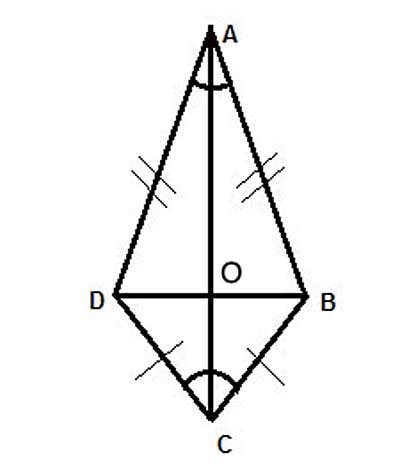 Diagonals of a Kite are Perpendicular to Each Other | Geometry Help