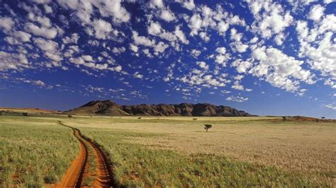 Dirt road in middle of grass field under blue sky HD wallpaper | Wallpaper Flare