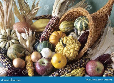 Cornucopia Of Fall Decorative Fruits Royalty Free Stock Images - Image: 7034109